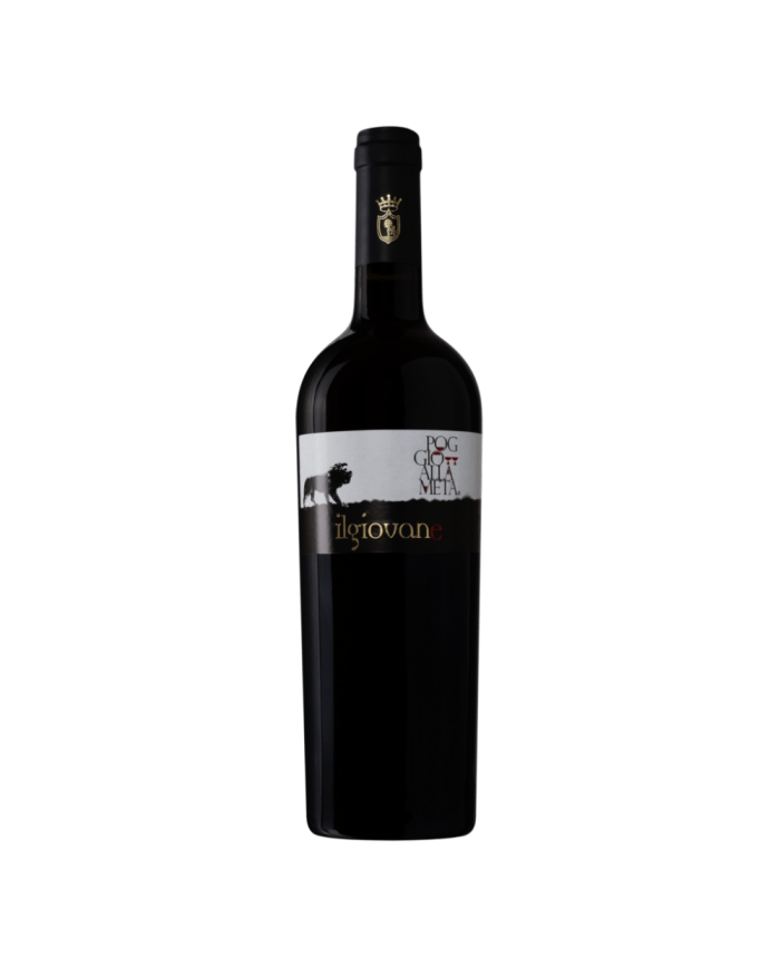 CABERNET ATINA DOC Il Giovane Poggio alla Meta Bio 2019 Cl 75