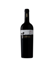 CABERNET ATINA DOC Il Giovane Poggio alla Meta Bio 2019 Cl 75