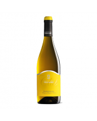 Chardonnay "Club" IGT - Colle Moro