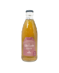 S.Bernardo Tè Pesca Bio VAP 12 X 26 cl Bt