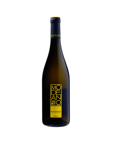 Chardonnay 2022 DOC Modeano CL 75