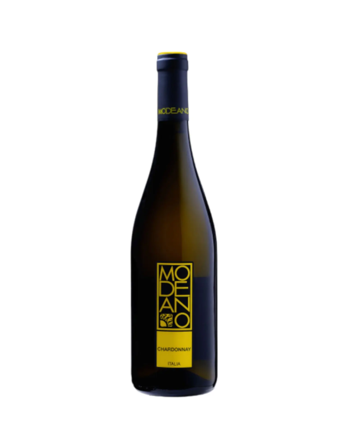 Chardonnay 2022 DOC Modeano CL 75