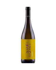 Traminer Aromatico 2022 DOC Modeano cl 75