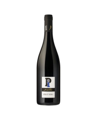 Pinot Nero Oltrepò Pavese La Piotta Bio 2022 cl 75