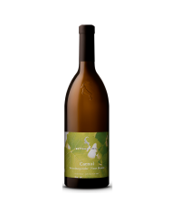 Pinot Bianco Carnol DOC 2021 Rottensteiner cl 75