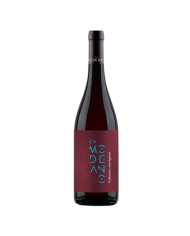 Cabernet Sauvignon 2020 DOC Modeano cl 75