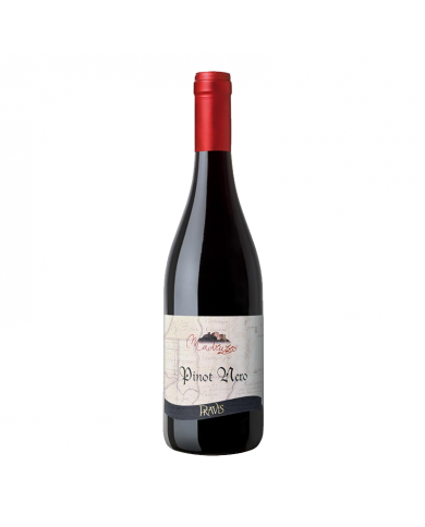 Pinot Nero "Madruzzo" - Pravis
