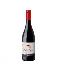 Pinot Nero "Madruzzo" - Pravis