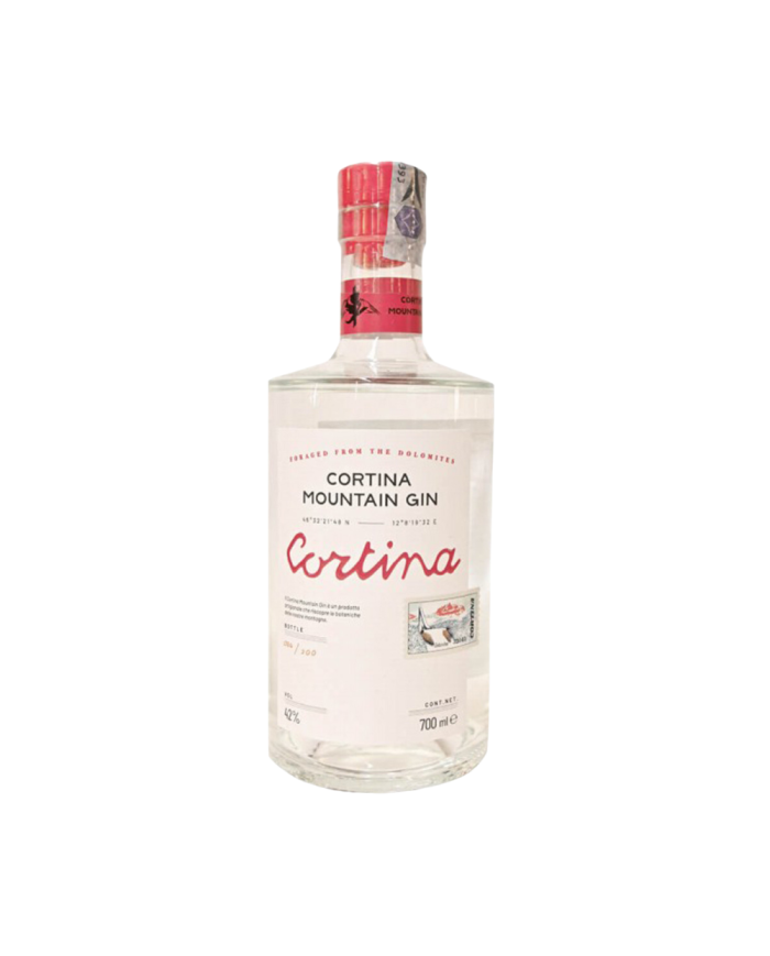 BAD GIN CORTINA 42° cl 70
