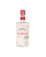 BAD GIN CORTINA 42° cl 70