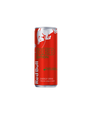 RED BULL RED EDITION cl25 x 24 LATTINA