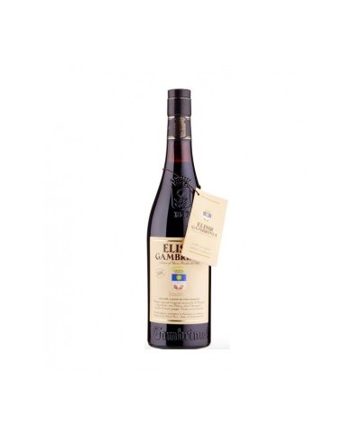 ELISIR GAMBRINUS LIQUORE 1 LT.