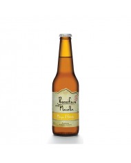 Birra  Magia D'Estate Birrificio Maiella cl 12 x 33 Bt