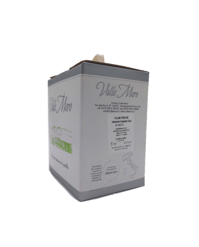 Bag in Box Colle Moro Lt 5  Bianco Terre Di Chieti