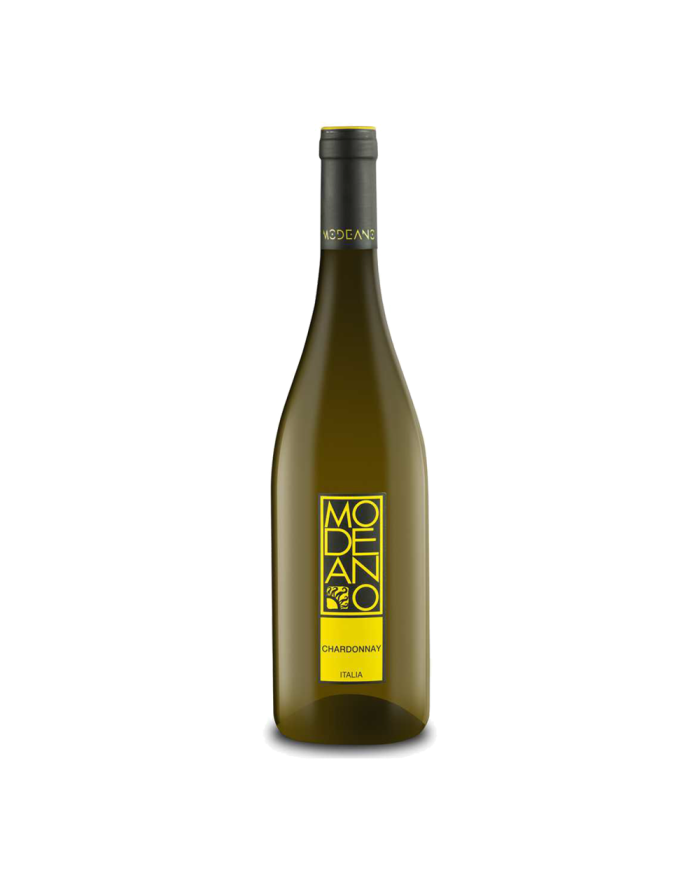 Chardonnay 2021 DOC Modeano CL 75