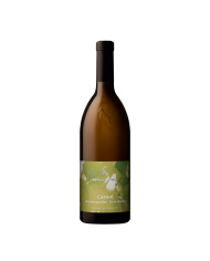 Pinot Bianco "Carnol" 2020 DOC Alto Adige Hans Rottensteiner cl 75