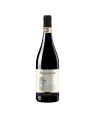 Anghelos Offida Rosso De Angelis 2017 CL 75