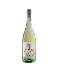 FIANO Salento Biologico IGT Sampietrana 2020 cl 75