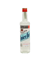 ANICE PAOLUCCI FORTE lt 1