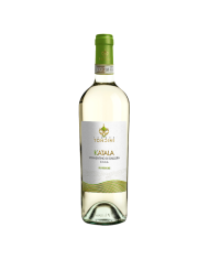 VERMENTINO di Gallura DOCG Sup KATALA 2021 Tenute Tondini cl 75