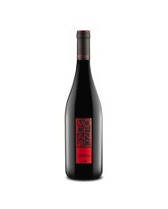 REFOSCO DOC  Friuli 2020 Modeano CL 75