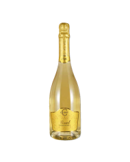 FRANCIACORTA Brut DOCG ZILIANI cl 75