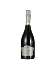 Franciacorta Brut Millesimato DOCG Ziliani cl 75